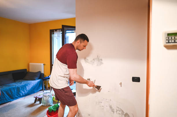 Best Water Damage Restoration  in Merriam, KS